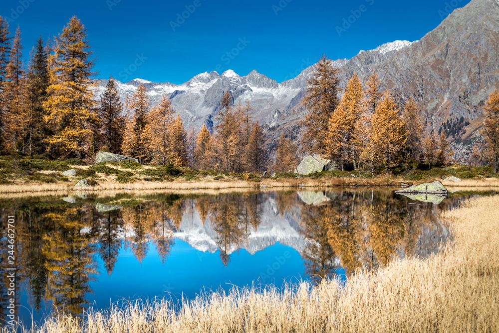 Adamello Brenta natural park, San Giuliano Lakes, Trentino Alto Adige, Italy