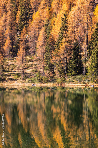 Adamello Brenta natural park  San Giuliano Lakes  Trentino Alto Adige  Italy