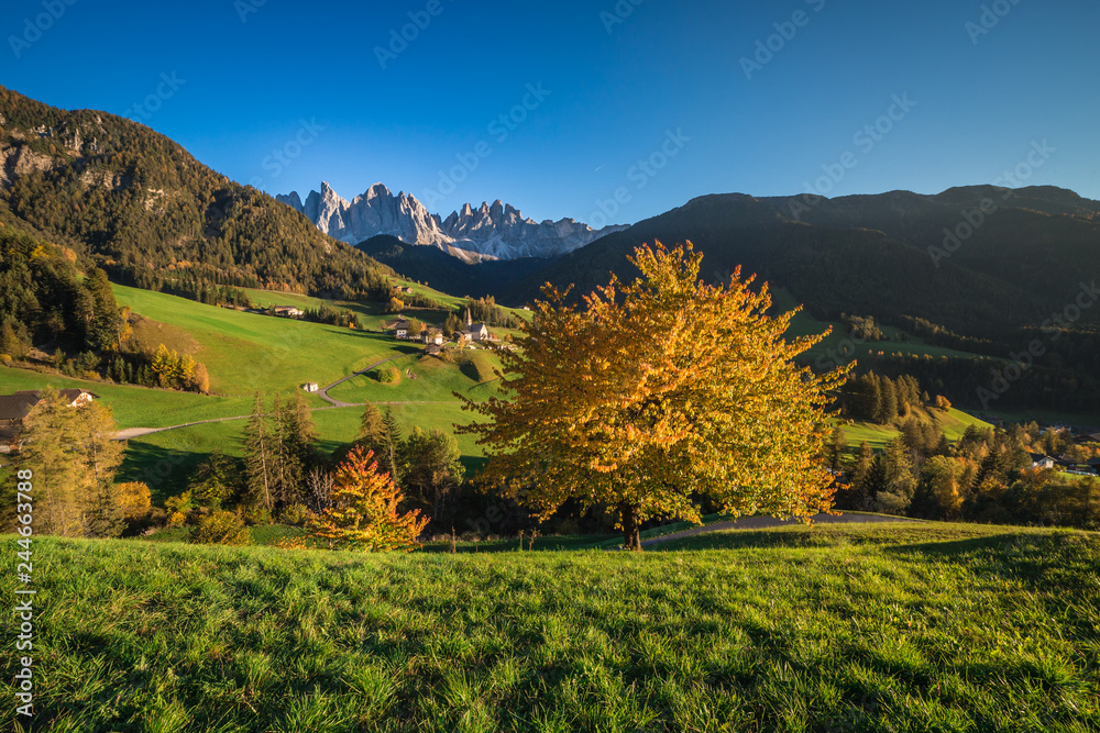 Autumn colors in Funes Valley, Bolzano province, South Tyrol, Italy
