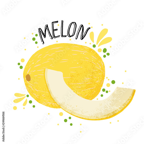 Vector hand draw melon illustration. Yellow ripe melon with juice splash isolated on white background. Textured menons slice and splashes, juice tropical fruit with word Melon on top. Fresh silhouette