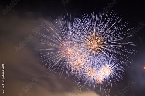 Colorfull of National Firework Celebration