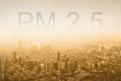 Smog city from PM 2.5 dust. Cityscape of buildings with bad weather and yellow smoke. PM 2.5 and air pollution concept for background or copy space.