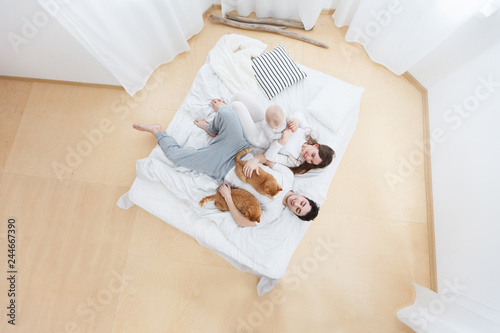 Top view of happy loving parents young positive girl and charming guy holding red cats and small child in cozy home environment.Wooden floore and white interior