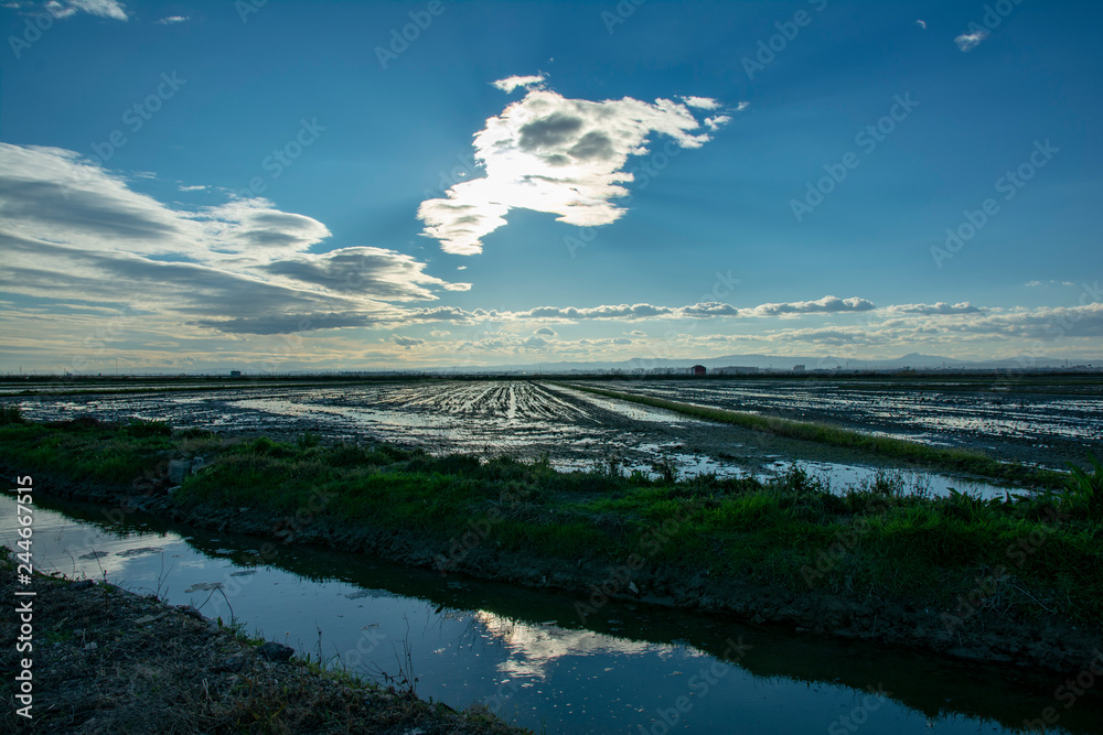 Obraz premium Atardecer