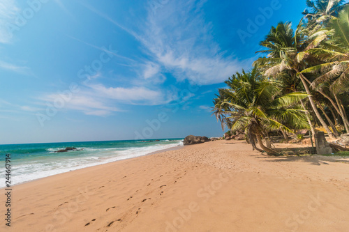 Untouched tropical beach with coconut palms. Tropical vacation  in Sri Lanka. Hikkaduwa. Ambalangoda.