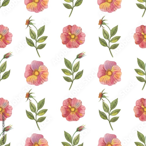 Seamless pattern with flowers and rose hips in watercolor style. Can be used for fabric  wrapping paper  postcard design  invitations  greetings  etc.