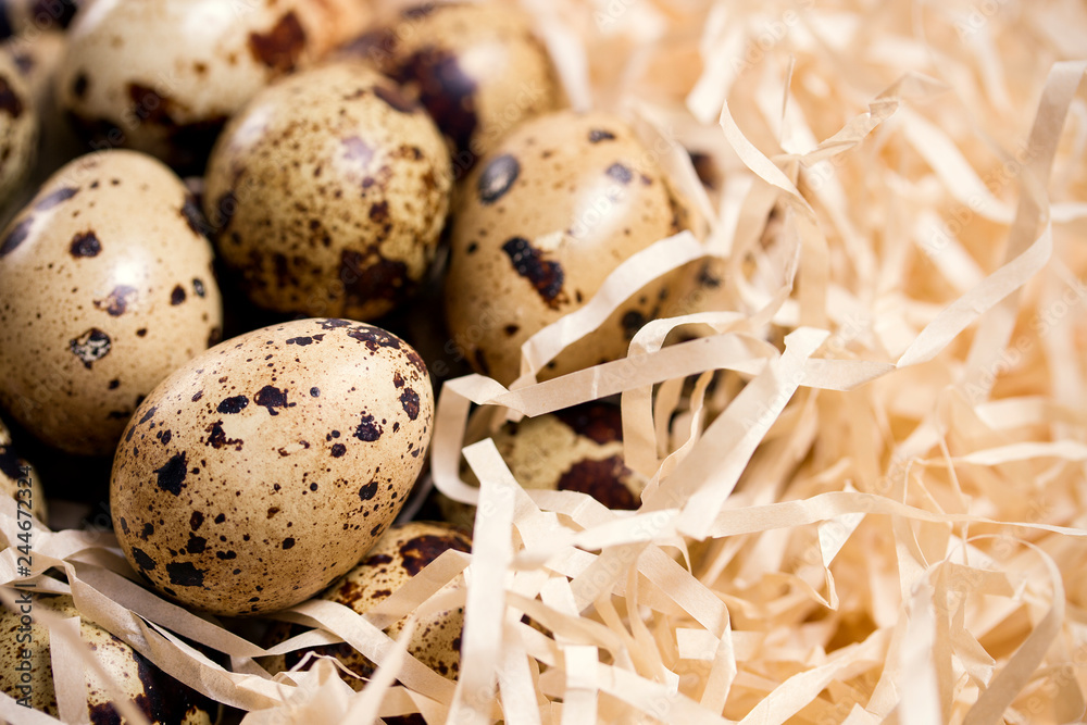 Obraz premium quail eggs in the package