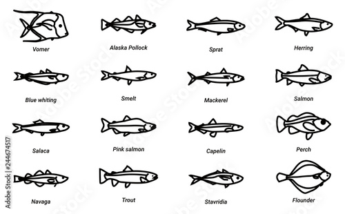 fish lines icon