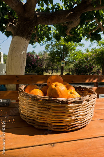 Oranges in a bowl on a wooden table at garden, near Sougia, south-west coast of Crete island, Greece photo