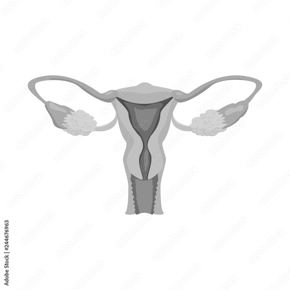 Isolated object of body and human logo. Collection of body and medical vector icon for stock. Isolated object of body and human logo. Collection of body and medical vector icon for stock.