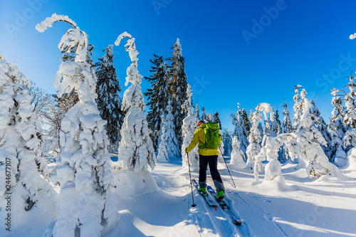 Obraz na plátně Ski in Beskidy mountains