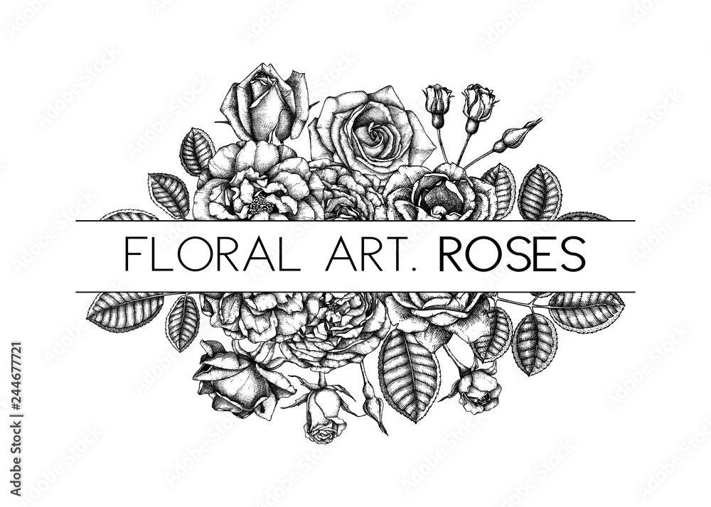 Rose bouquet. Hand drawn flowers, leaves, buds. Vintage botanical ...