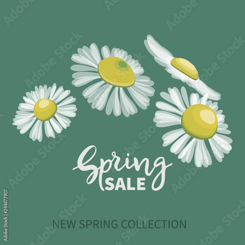 Spring SALE,hand written lettering. Banner with bouquet of daisies