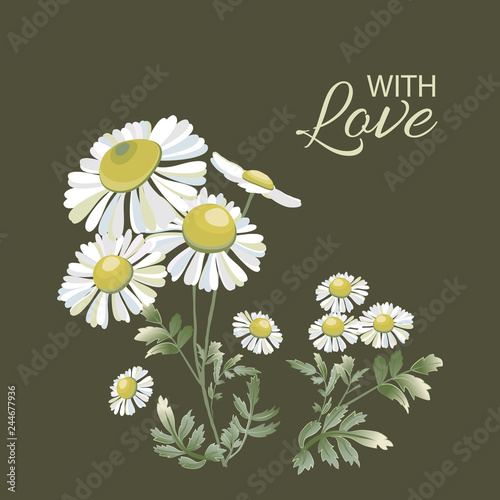 Greeting card with bouquet of daisies on dark. Chamomiles flower