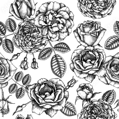 Hand drawn Roses. Floral seamless pattern. Black flowers, leaves, branches and bugs on white background. Engraving style. Botanical vector art. Perfect for textile, wrapping paper or gift box design.