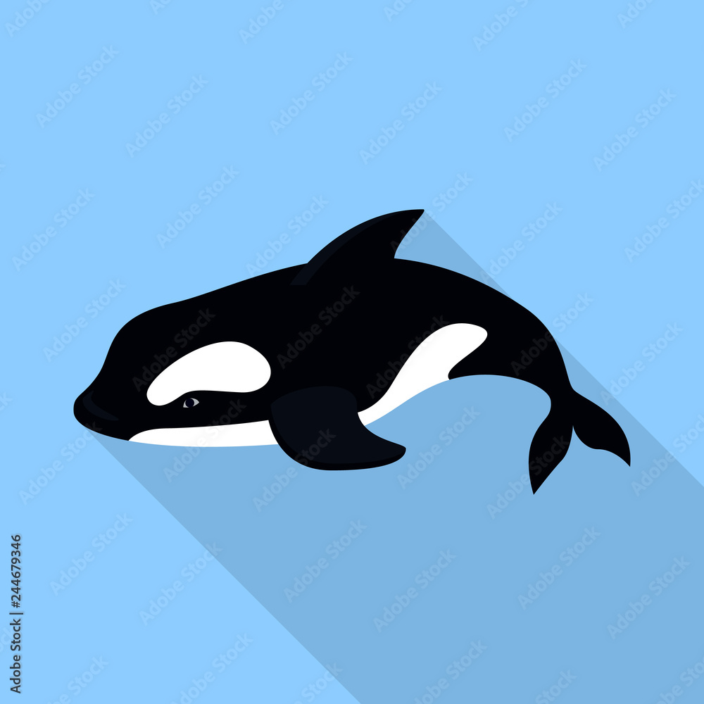 Fototapeta premium Orca whale icon. Flat illustration of orca whale vector icon for web design
