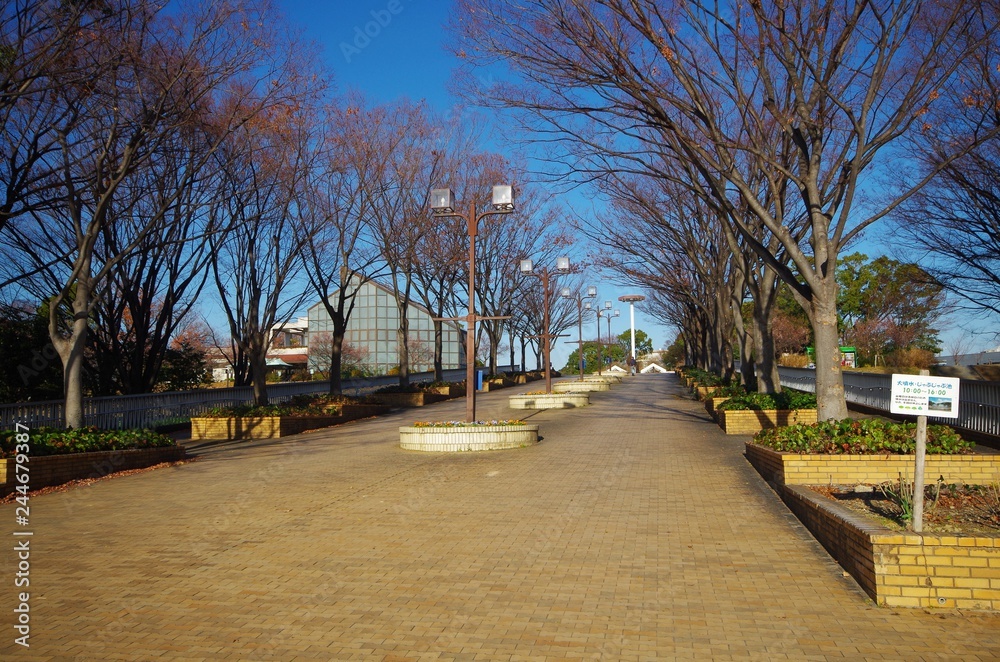 庄内緑地公園