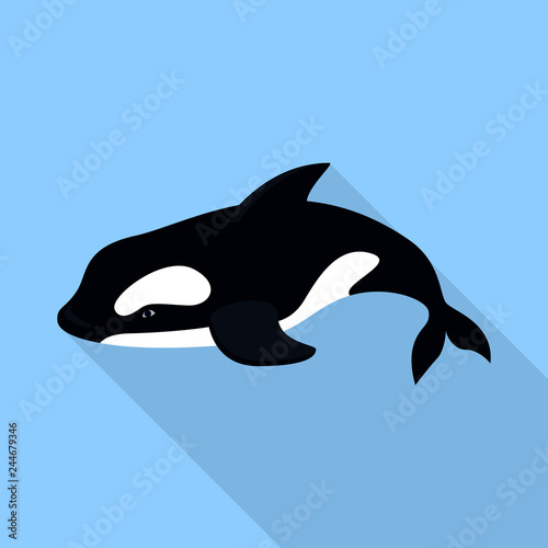 Orca whale icon. Flat illustration of orca whale vector icon for web design