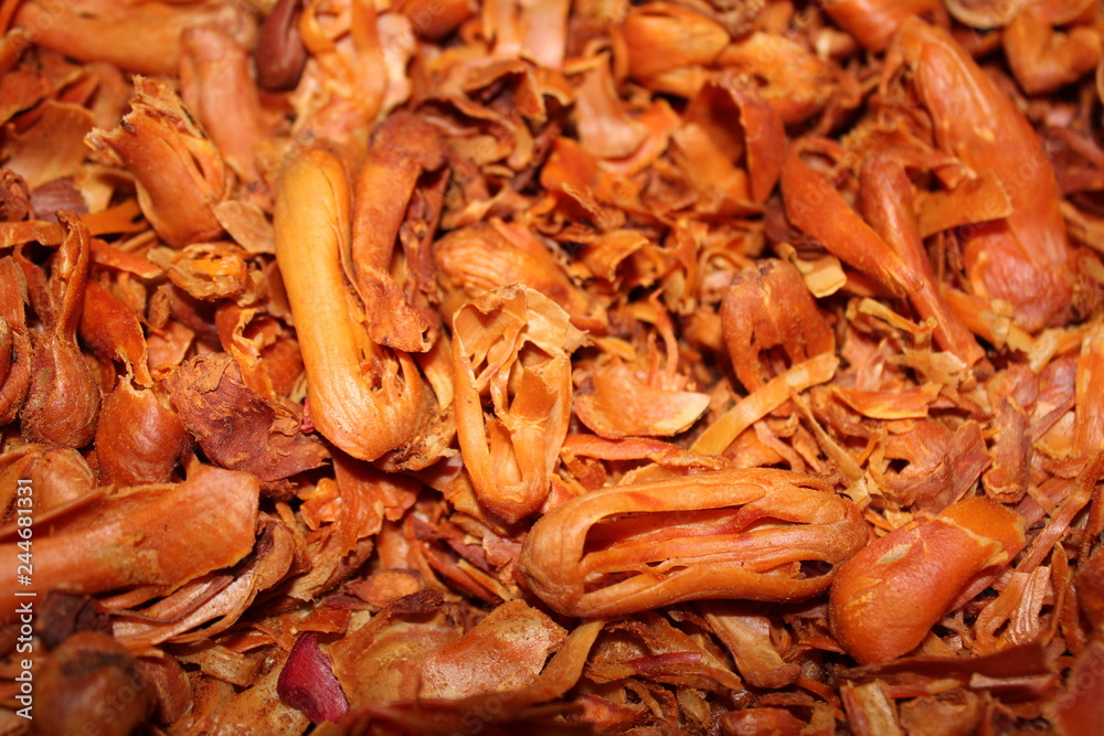 Dried Herbs spice Nutmeg Dried Herbs spice Nutmeg