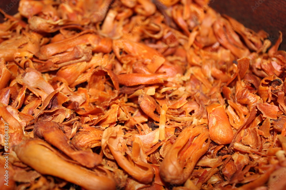 Dried Herbs spice Nutmeg Dried Herbs spice Nutmeg