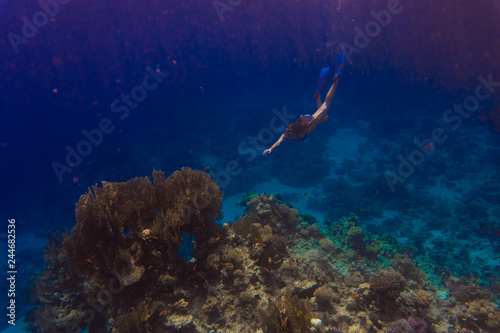 Underwater. Young woman snorkeling gliding over vivid coral reef on a breath hold