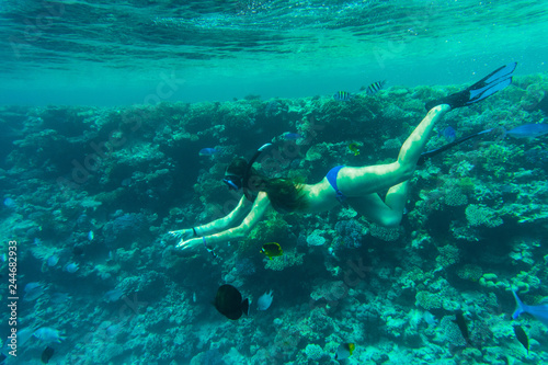 Young woman snorkeling in a tropical sea and feeding color fish © F8  \ Suport Ukraine