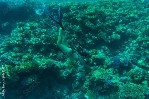 Beautiful young woman snorkeling in Red Sea of Egypt