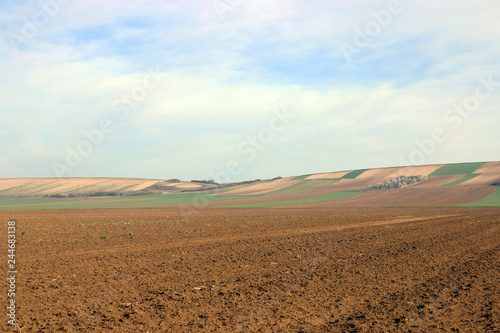 Plowed field agriculture Voivodina Serbia landscape