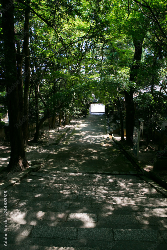 Fototapeta premium 功山寺
