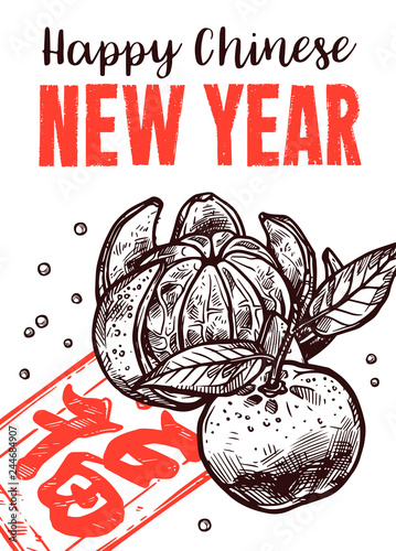 Happy Chinese lunar new year sketch greeting card with symbols of fortune, luck, wealth and spring festival. Vector hand drawn engraving illustaration with mandarins and red envelope with money