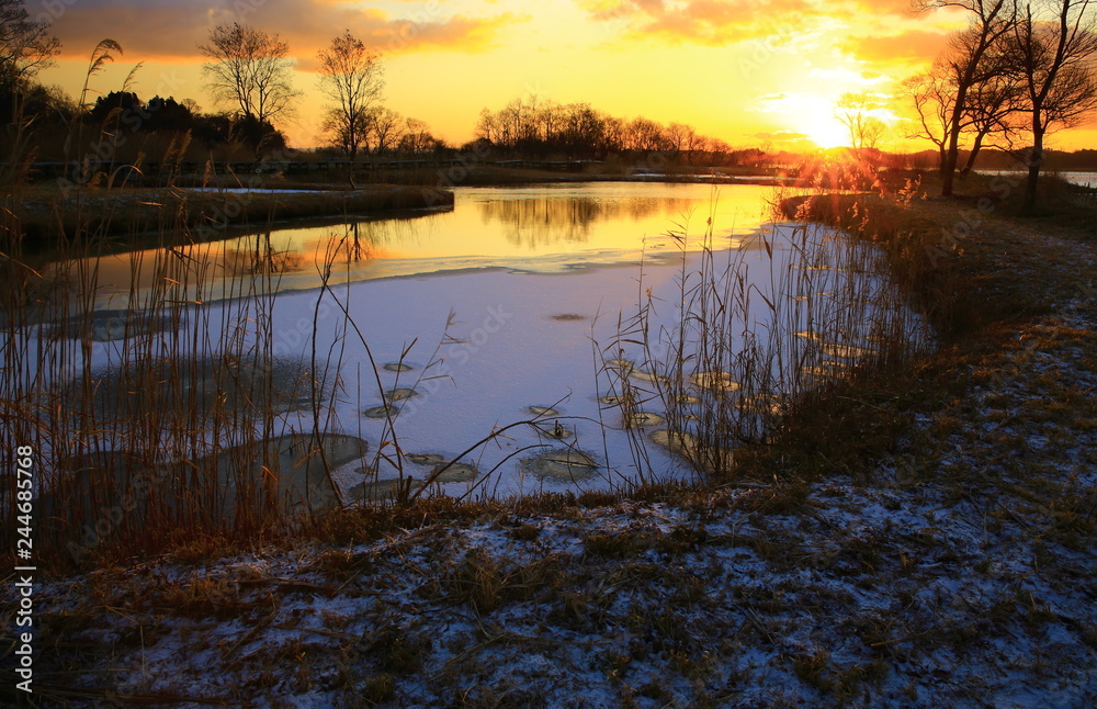 Fototapeta premium 伊豆沼の夜明け