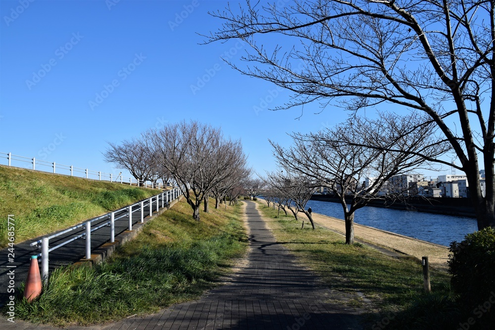 荒川 荒川