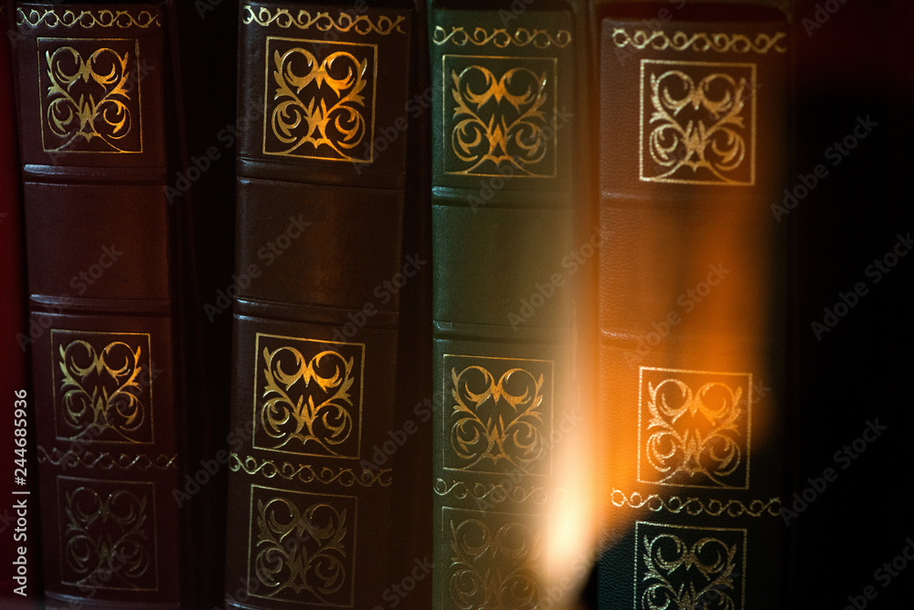 Fototapeta premium Old vintage style books in a row in a shelf in living room. Concept of knowledge, education and reading books. Cozy atmosphere in house or apartment with warm light reflection