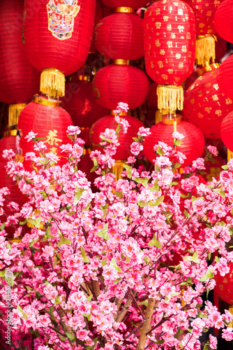 ornamental fake peach flowers and traditional red Chinese lanterns (Chinese New Year or Spring Festival concept).(different style of Chinese characters 