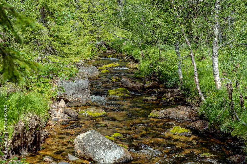 Small creek in the Swedish highlands Small creek in the Swedish highlands