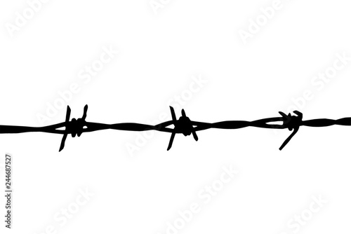 barbed wire isolated © NATALIIA TOSUN