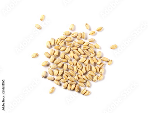 Wheat pile isolated on white background, top view