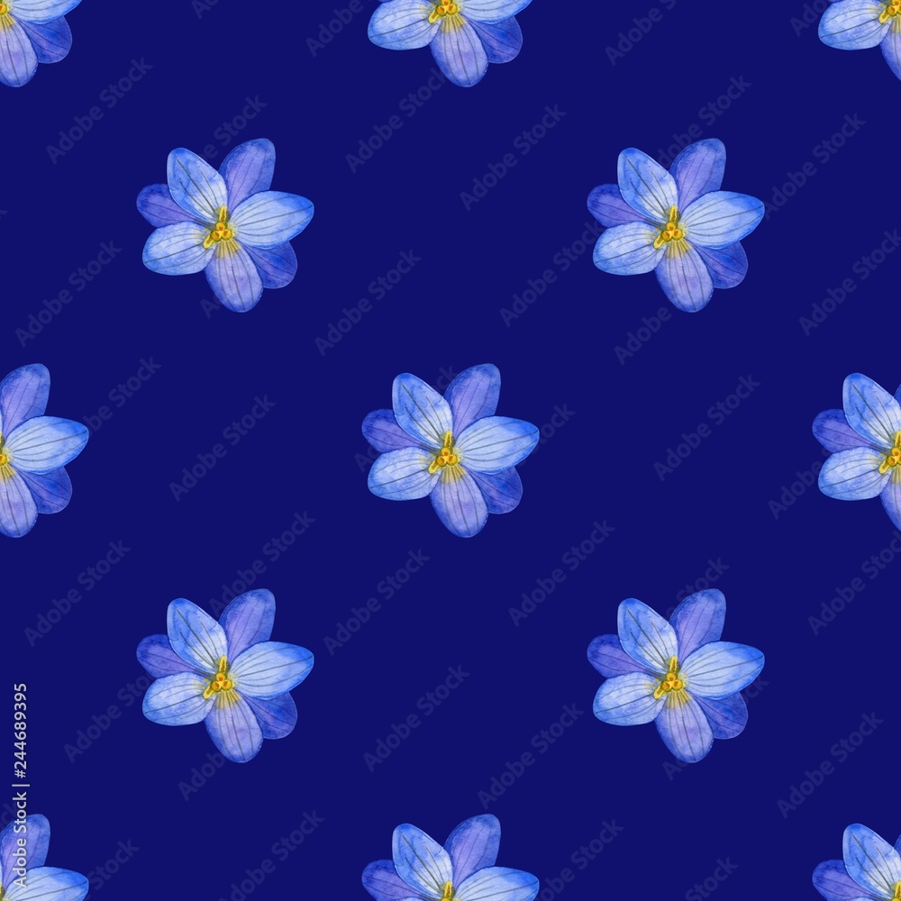 Seamless floral pattern of Crocus flowers and herbs in watercolor style. Perfect background for fabric, wrapping paper, packaging, etc. - Illustration Seamless floral pattern of Crocus flowers and herbs in watercolor style. Perfect background for fabric, wrapping paper, packaging, etc. - Illustration