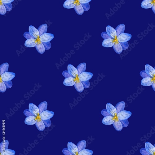 Seamless floral pattern of Crocus flowers and herbs in watercolor style. Perfect background for fabric  wrapping paper  packaging  etc. - Illustration