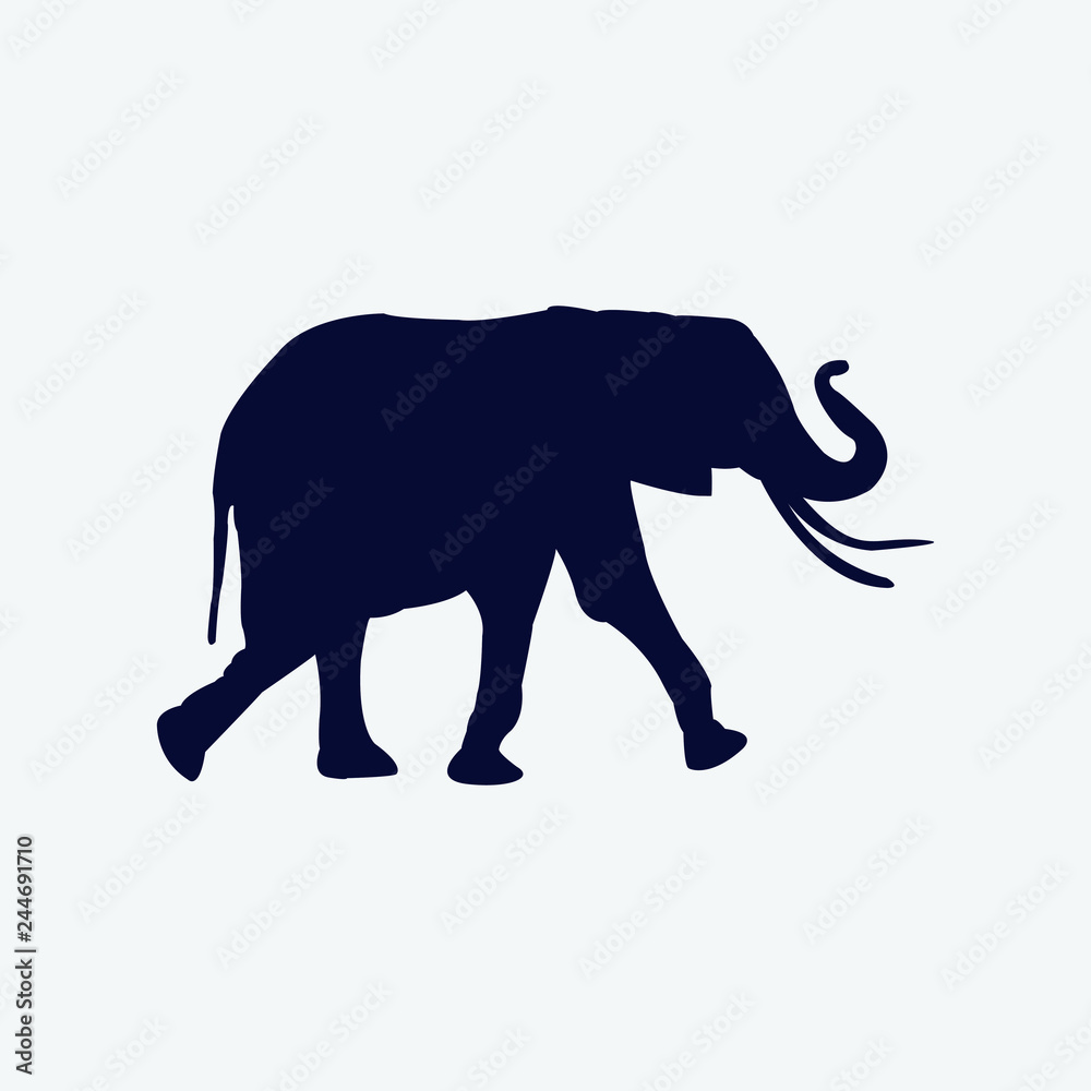 Fototapeta premium Vector silhouette of a elephant on a white background.