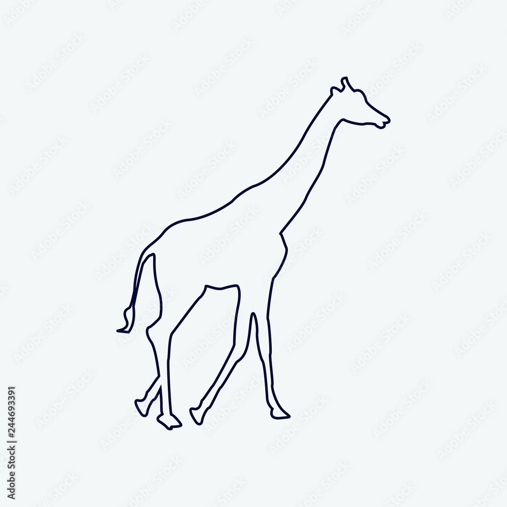 Vector silhouette of a giraffe on a white background. Vector silhouette of a giraffe on a white background.