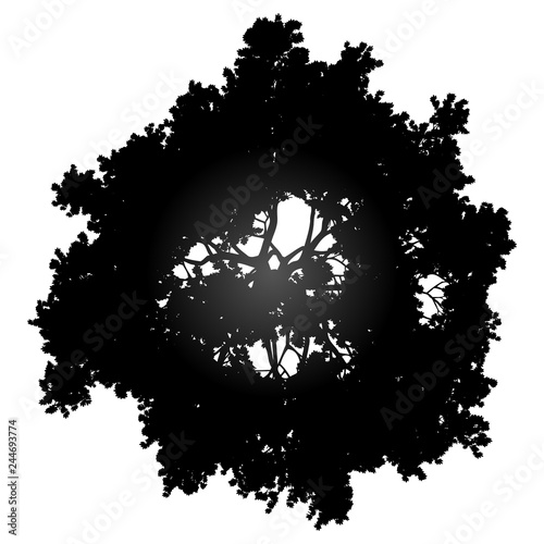 Tree top silhouette isolated - black gradient detailed - vector