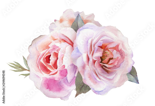 Beautiful tender pink roses for wedding invitations, greeting cards, photos and more. Hand drawn watercolor