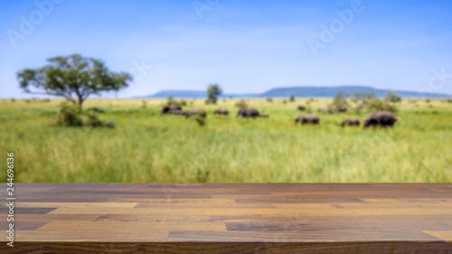Fototapeta Naklejka Na Ścianę i Meble -  Empty table top for product display montage. Safari in Tanzania, elephants crosses the savannah blurred in the background.
