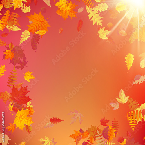 Autumn template layout decorate with leaves. EPS 10