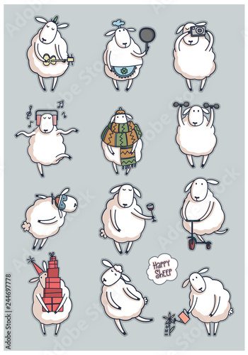 Funny cute sheep