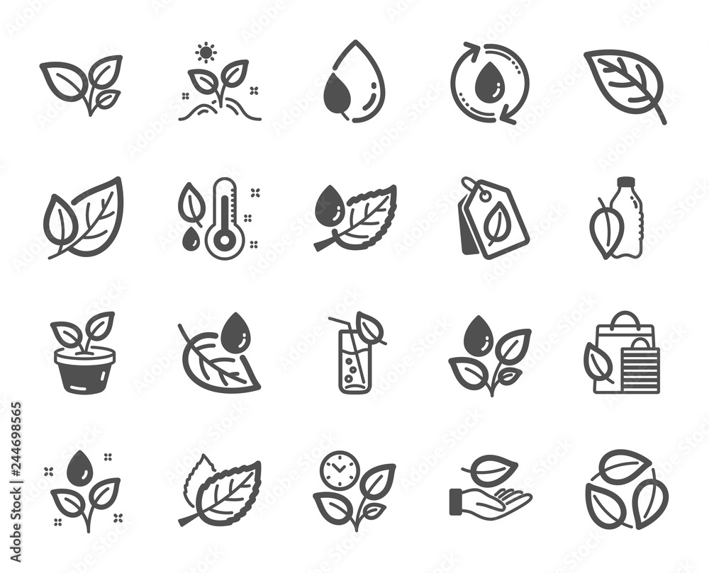 Fototapeta Plants icons. Mint leaf, Growing plants and Humidity thermometer icons. Bottle with mint water, Nature care, leaf on hand. Gardening new flower, environment, water drop and thermometer. Vector