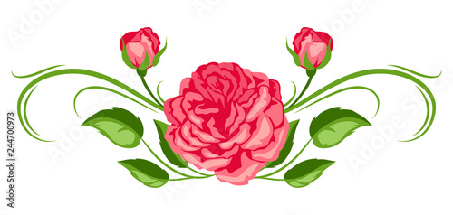 Decorative element with red roses. Beautiful flowers.