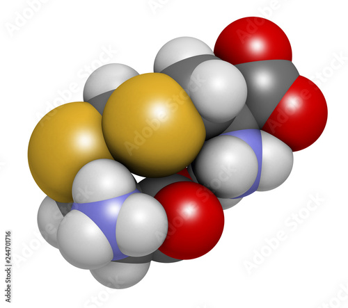 Djenkolic acid molecule. Toxic amino acid found in djenkol beans. 3D rendering. Atoms are represented as spheres with conventional color coding  hydrogen  white   carbon  grey   oxygen  red   etc