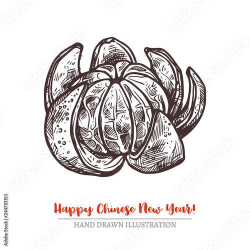 Happy Chinese lunar new year sketch greeting card. Vector hand drawn mandarin. Tangerine - symbol of  fortune, luck, and spring festival